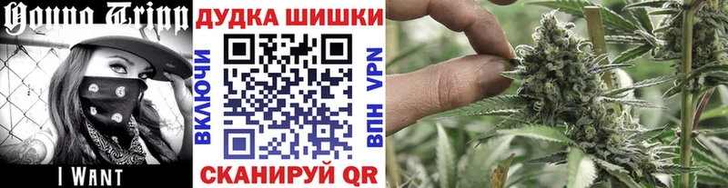 Где можно купить наркотики Куртамыш КОКАИН  Амфетамин  ГАШ  Каннабис  МЕТАДОН  А ПВП  МЕФ 