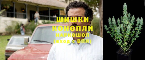 индика Белоозёрский