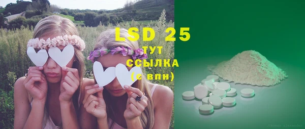 индика Белоозёрский