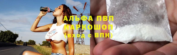 индика Белоозёрский