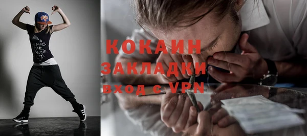 индика Белоозёрский