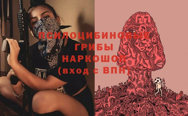 первитин Белокуриха