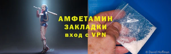 индика Белоозёрский