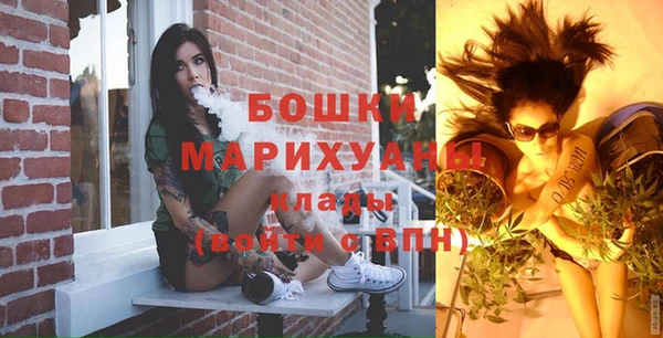 индика Белоозёрский