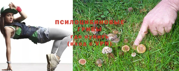 индика Белоозёрский