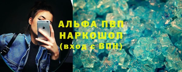 индика Белоозёрский