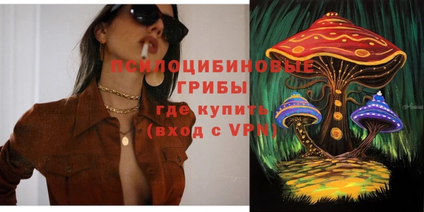 индика Белоозёрский