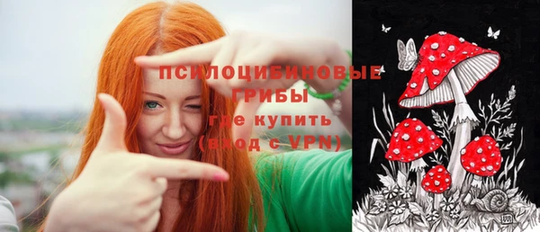 индика Белоозёрский