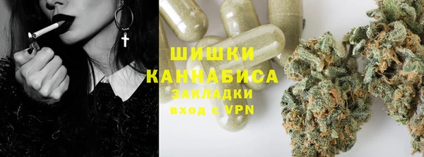 индика Белоозёрский